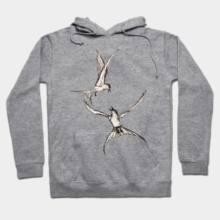 Swallows Hoodie